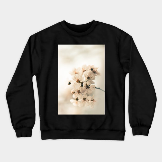 White Cherry Blossom Crewneck Sweatshirt by Islanr